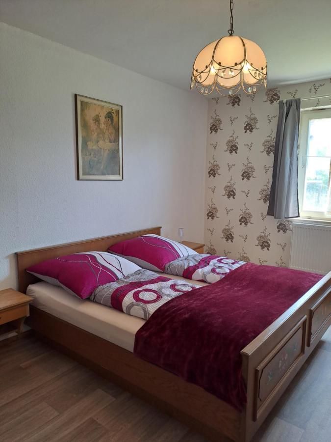 Keller'S Ferienwohnung An Der Saale Schwarzenbach an der Saale Kültér fotó